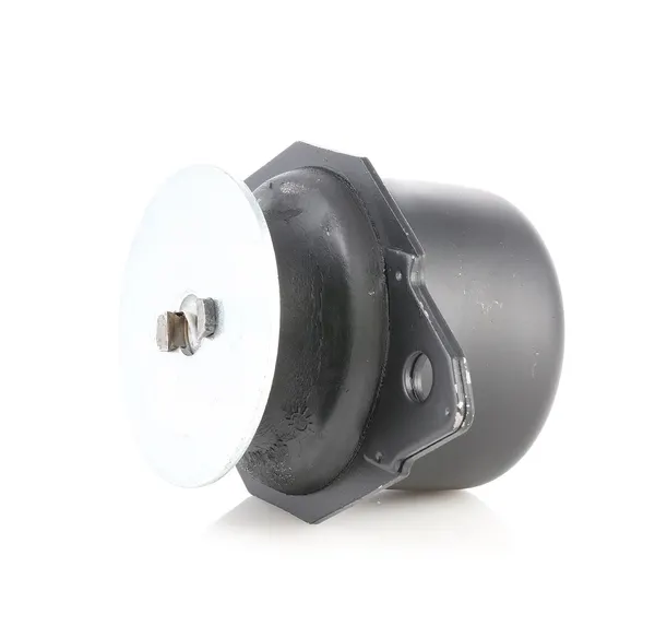 RIDEX Motorlager hinten links