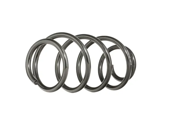 RIDEX Fahrwerksfeder Vorderachse