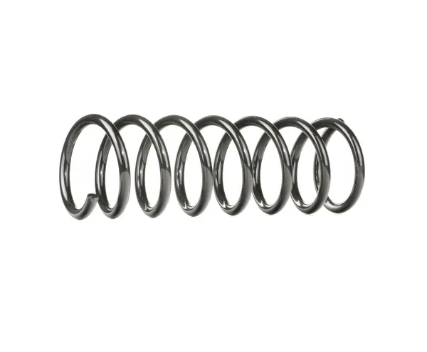 RIDEX Fahrwerksfeder Hinterachse