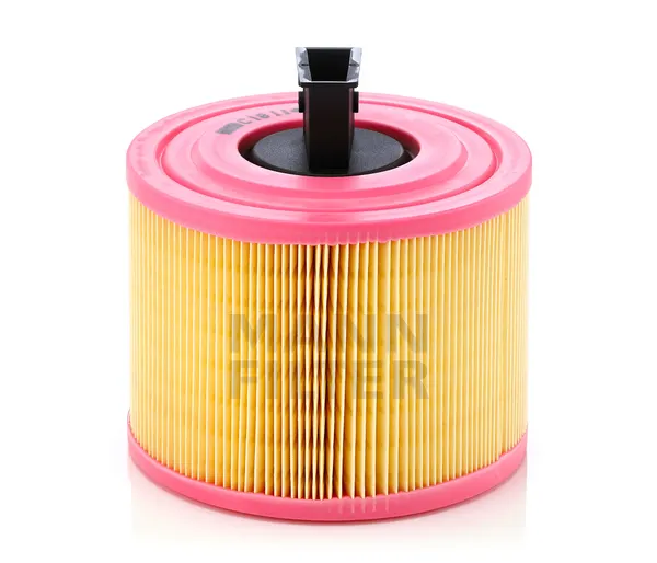 MANN-FILTER Luftfilter Filtereinsatz