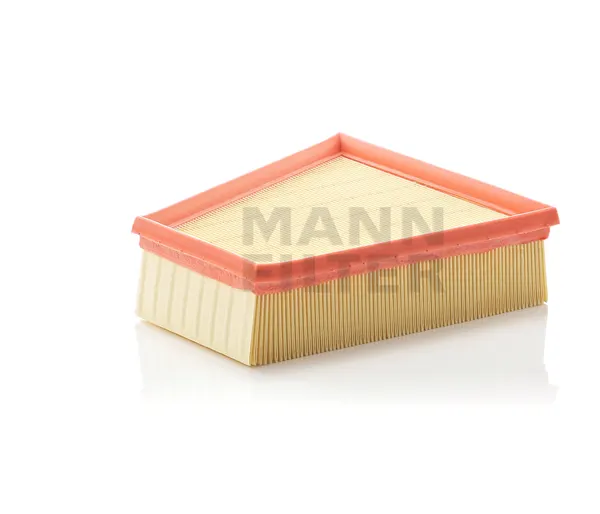 MANN-FILTER Luftfilter Filtereinsatz