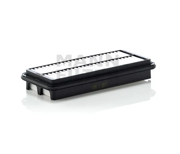 MANN-FILTER Luftfilter Filtereinsatz