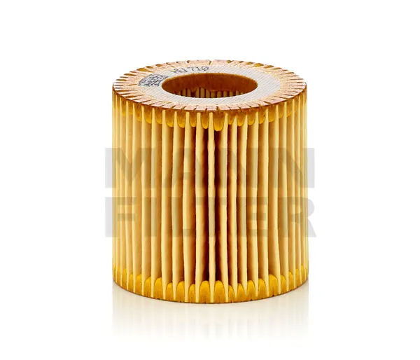 MANN-FILTER Ölfilter Filtereinsatz