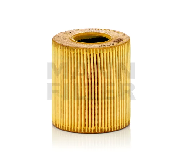 MANN-FILTER Ölfilter Filtereinsatz