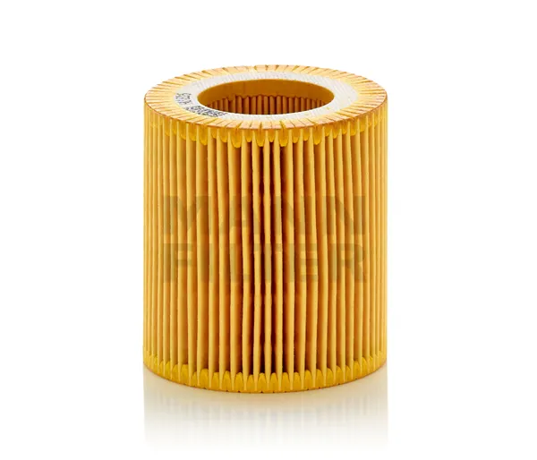 MANN-FILTER Ölfilter Filtereinsatz