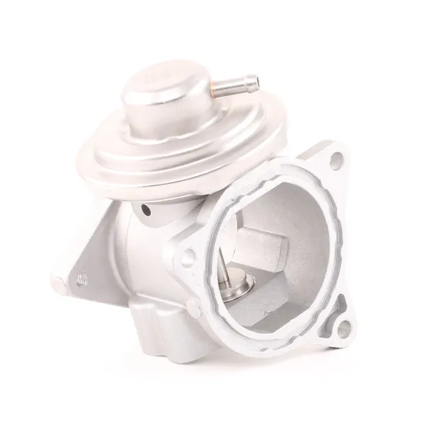 MAGNETI MARELLI AGR-Ventil