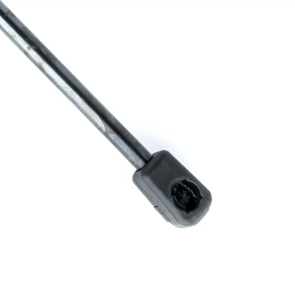 EINPARTS Heckklappendämpfer Ausschubkraft: 320N