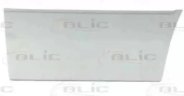 BLIC Tür