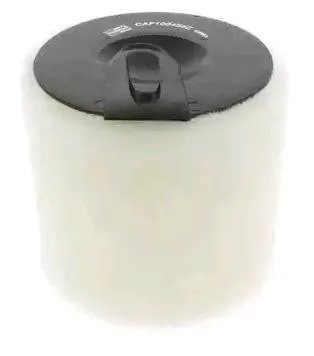 Champion Luftfilter Filtereinsatz