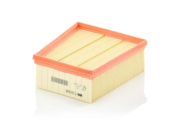 MANN-FILTER Luftfilter Filtereinsatz