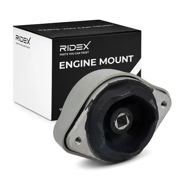 RIDEX Motorlager beidseitig