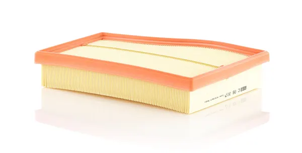 MANN-FILTER Luftfilter Filtereinsatz