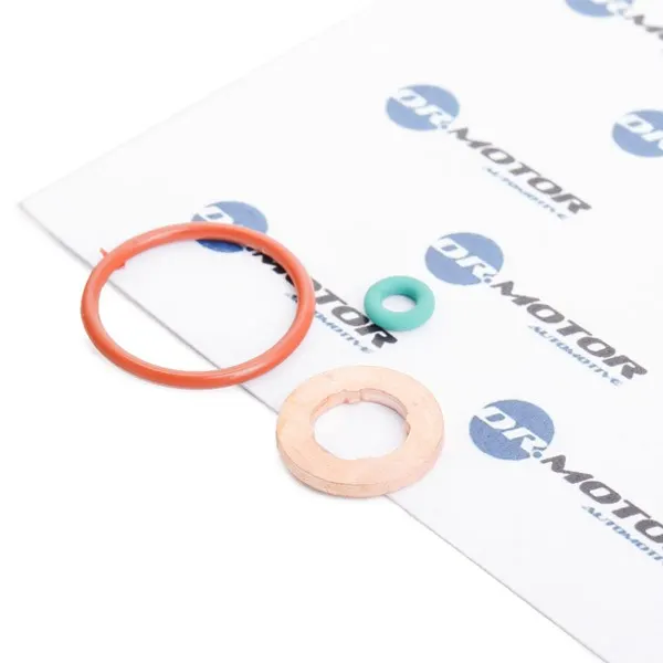 DR.MOTOR AUTOMOTIVE Dichtungssatz, Einspritzdüse
