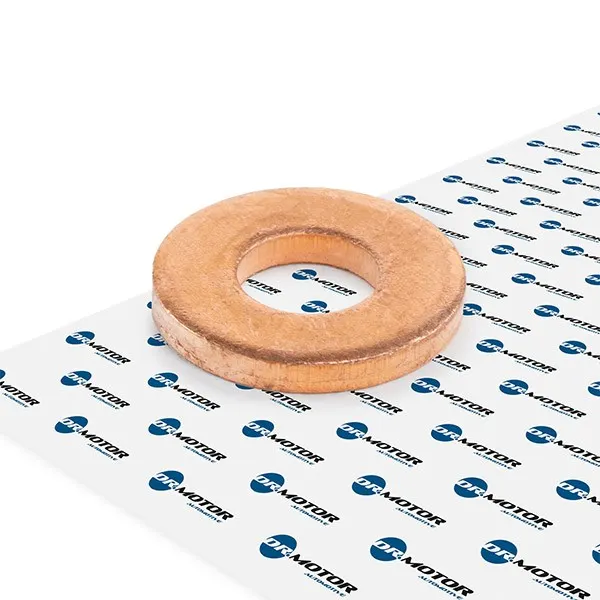 DR.MOTOR AUTOMOTIVE Dichtung, Düsenhalter
