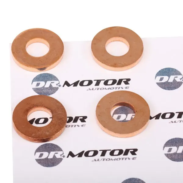 DR.MOTOR AUTOMOTIVE Dichtungssatz, Einspritzdüse