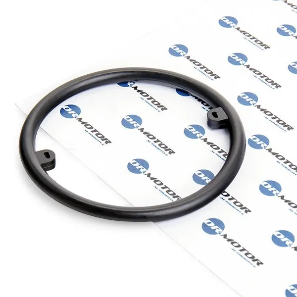 DR.MOTOR AUTOMOTIVE Dichtung, Ölkühler motorseitig