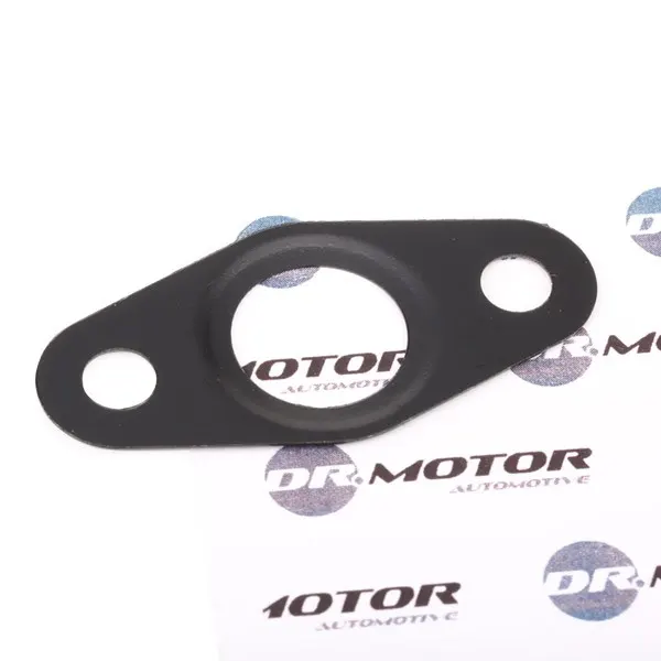 DR.MOTOR AUTOMOTIVE Dichtung, Ölauslass (Lader)