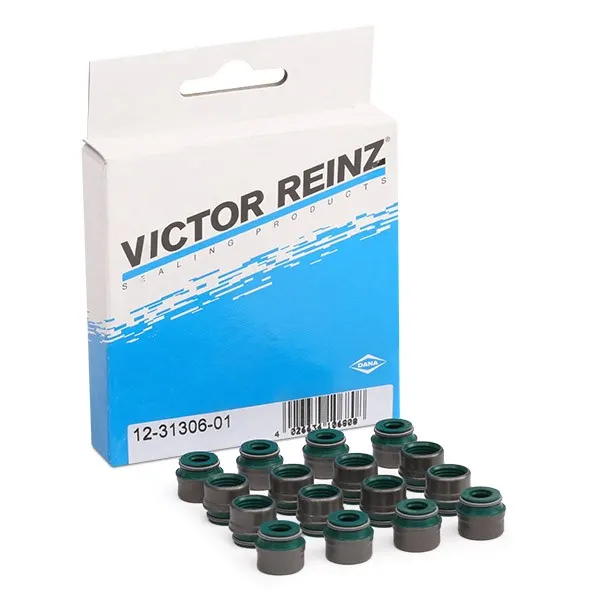 REINZ Dichtungssatz, Ventilschaft