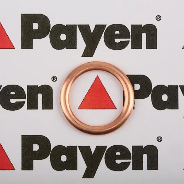 PAYEN Dichtring Ölablaßschraube