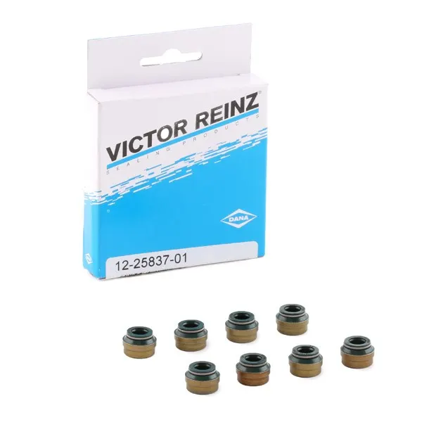 REINZ Dichtungssatz, Ventilschaft