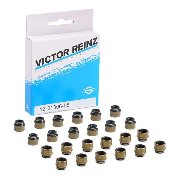 REINZ Dichtungssatz, Ventilschaft