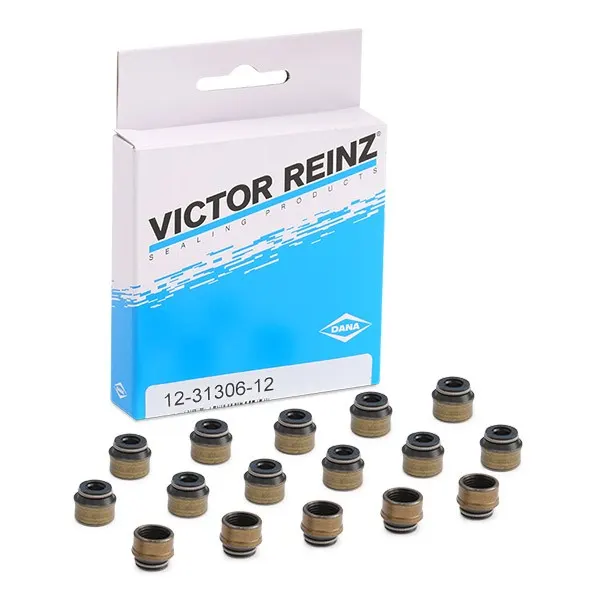 REINZ Dichtungssatz, Ventilschaft