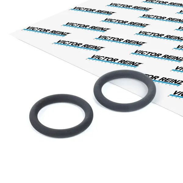 REINZ Ansaugkrümmerdichtung FPM (Fluor-Kautschuk)