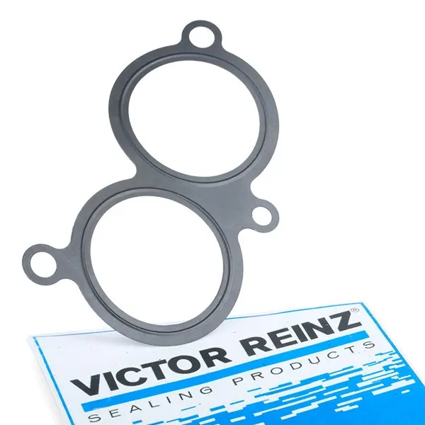 REINZ Dichtung, Ansaugkrümmergehäuse