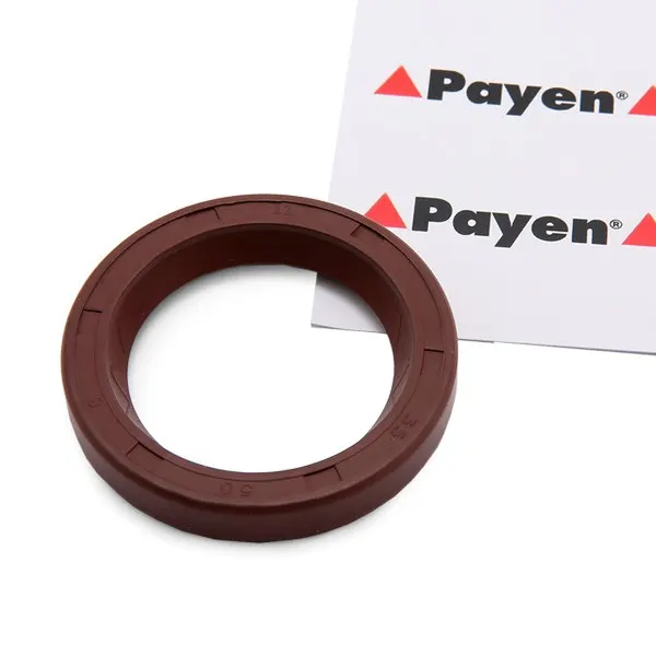 PAYEN Nockenwellendichtung