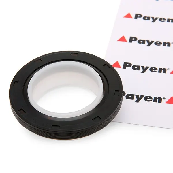 PAYEN Kurbelwellendichtring PTFE (Polytetrafluorethylen)