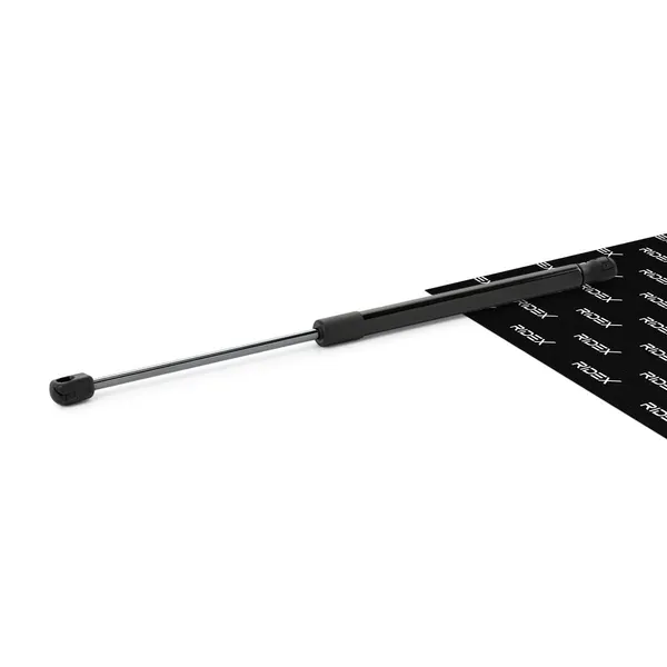 RIDEX Heckklappendämpfer hinten
