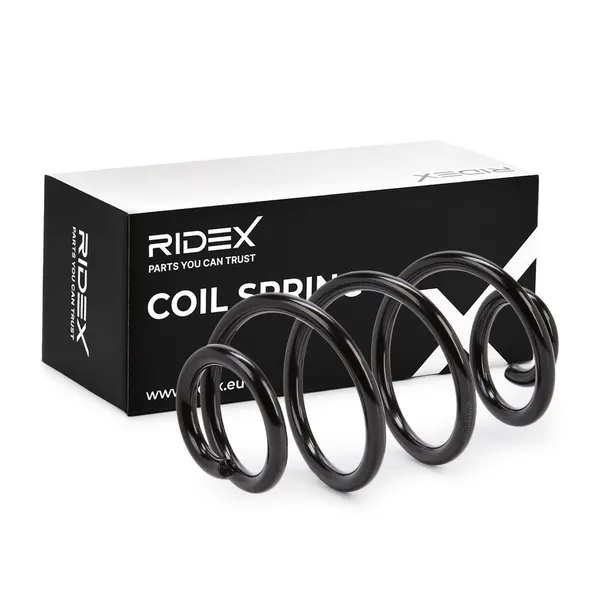 RIDEX Fahrwerksfeder Hinterachse