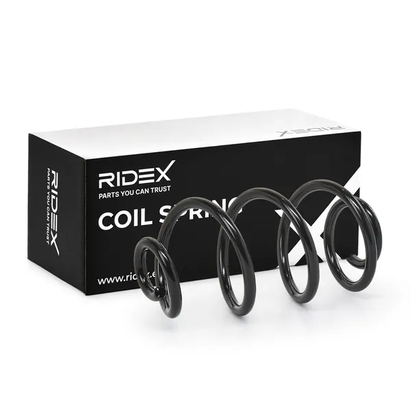 RIDEX Fahrwerksfeder Hinterachse