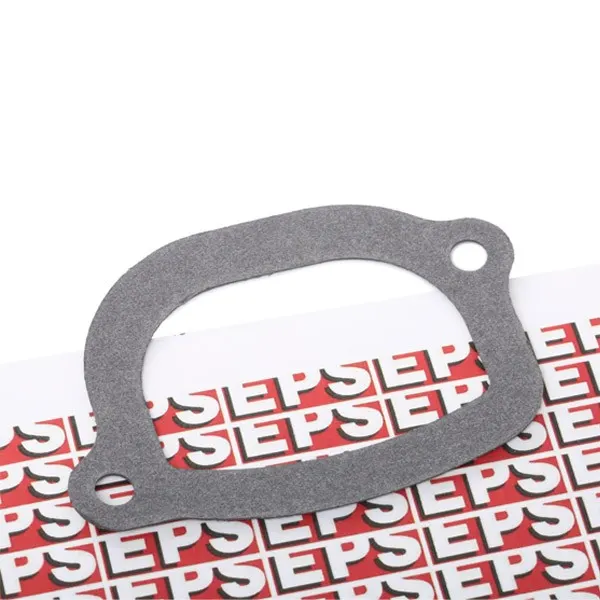 EPS Dichtung, Thermostat Made in Italy - OE Equivalent