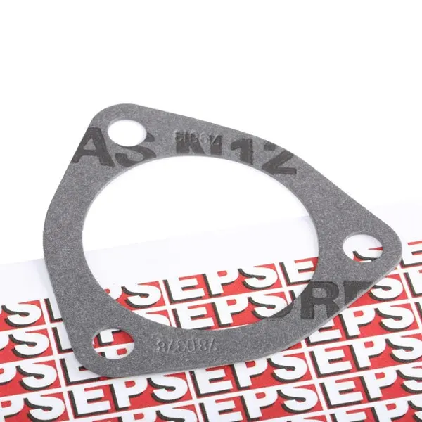 EPS Dichtung, Thermostat Made in Italy - OE Equivalent