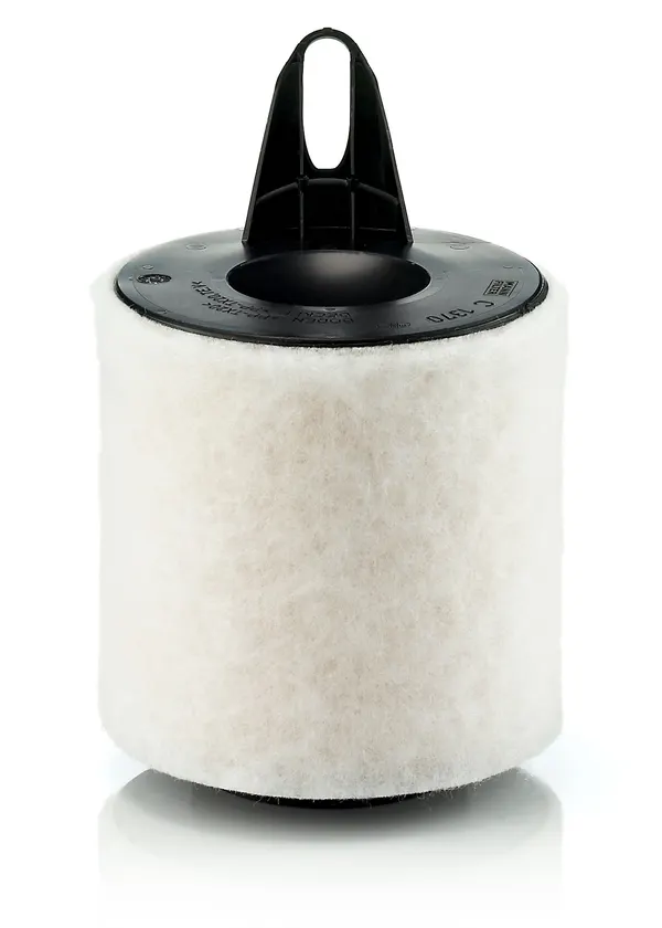 MANN-FILTER Luftfilter Filtereinsatz