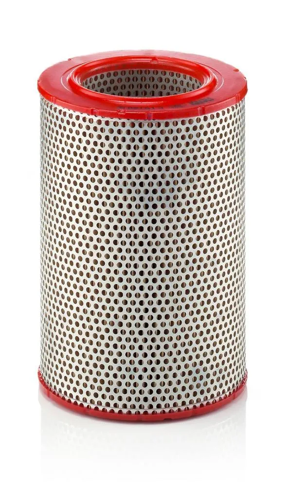 MANN-FILTER Luftfilter Filtereinsatz