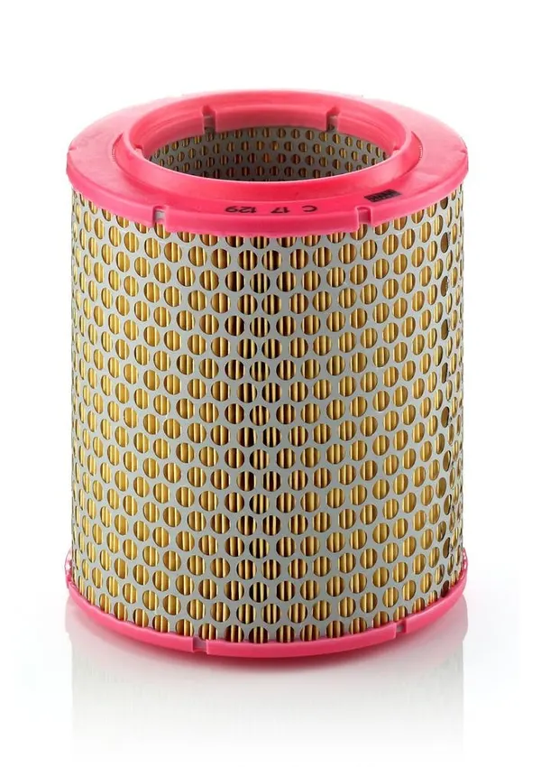 MANN-FILTER Luftfilter Filtereinsatz