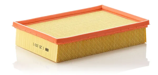 MANN-FILTER Luftfilter Filtereinsatz