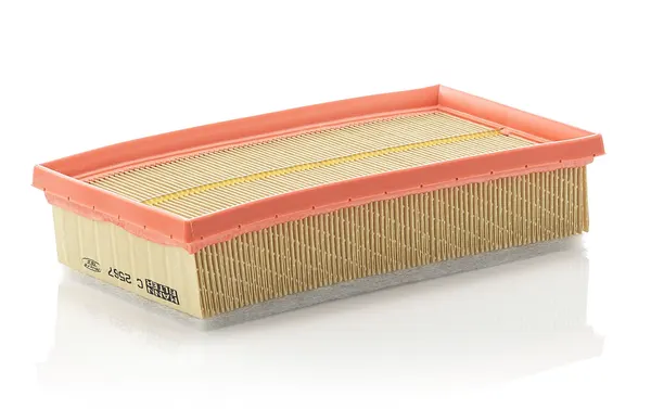 MANN-FILTER Luftfilter Filtereinsatz