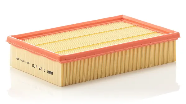 MANN-FILTER Luftfilter Filtereinsatz
