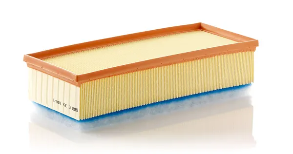 MANN-FILTER Luftfilter Filtereinsatz
