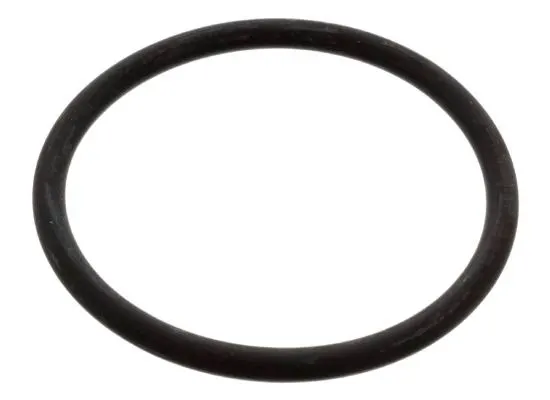 FEBI BILSTEIN Dichtung, Thermostat