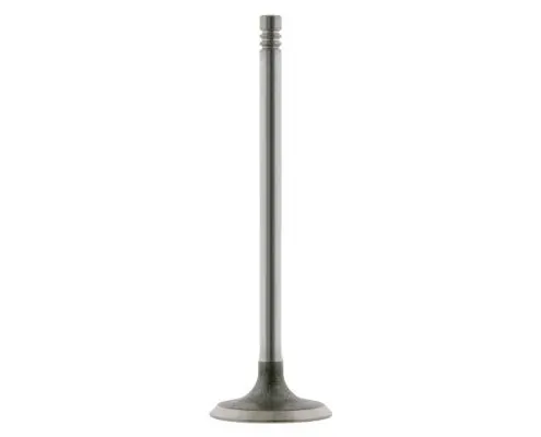 FEBI BILSTEIN Einlaßventil