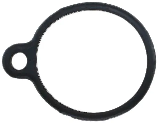 ELRING Dichtung, Thermostat