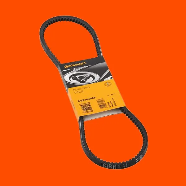 CONTITECH Keilriemen Länge: 925mm