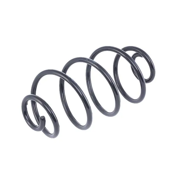 RIDEX Fahrwerksfeder Hinterachse