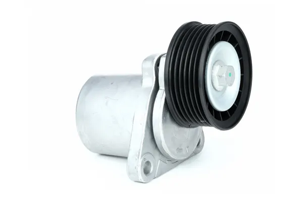 RIDEX Spannrolle
